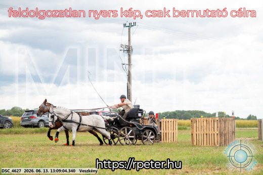 Mintakép 20260613-34