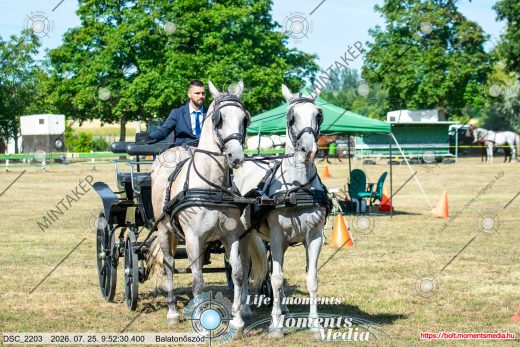 20260725-095230-DSC_2203.jpg