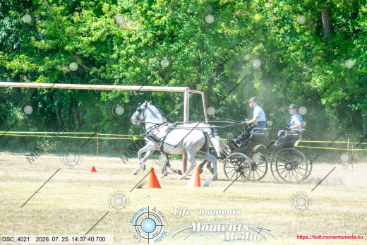 Mintakép 20260725-358
