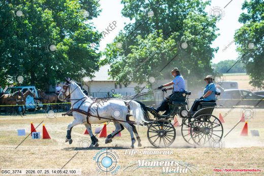 Mintakép 20260725-418