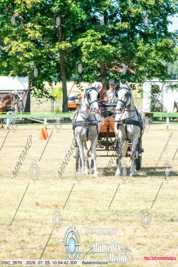 20260725-105442-DSC_2679.jpg