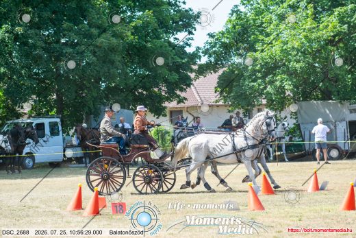 Mintakép 20260725-452