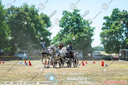 Mintakép 20260725-465
