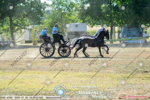 Mintakép 20260725-516