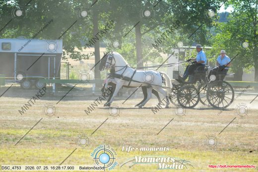 Mintakép 20260725-519