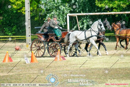 20260725-093913-DSC_2116.jpg