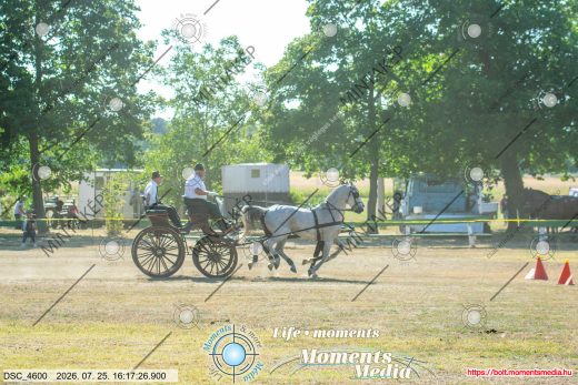 Mintakép 20260725-599