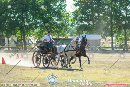 Mintakép 20260725-602