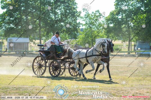 Mintakép 20260725-604