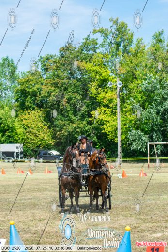 20260725-103336-DSC_2520.jpg