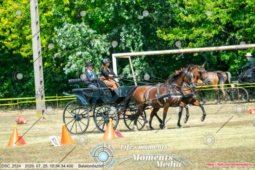 20260725-103434-DSC_2524.jpg