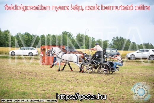 Mintakép 20260613-37