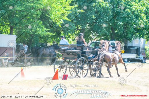 Mintakép 20260725-642