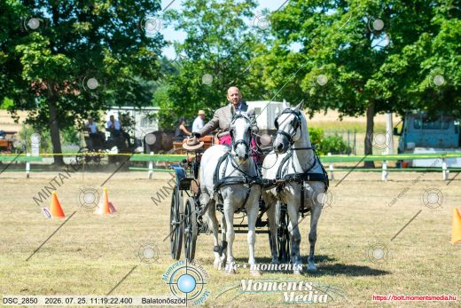 20260725-111922-DSC_2850.jpg