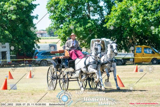 20260725-111958-DSC_2852.jpg