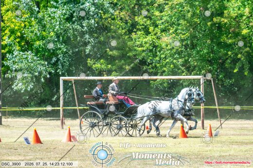 Mintakép 20260725-667