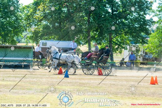 Mintakép 20260725-698
