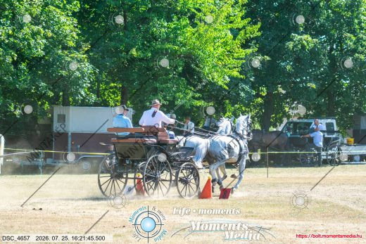 Mintakép 20260725-713
