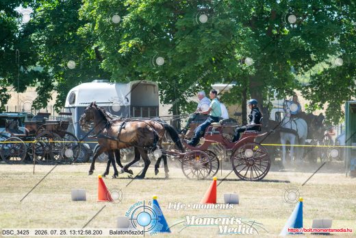 Mintakép 20260725-734