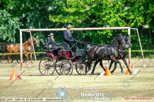 Mintakép 20260725-768