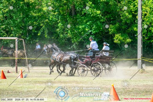 Mintakép 20260725-780