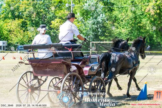 Mintakép 20260725-786