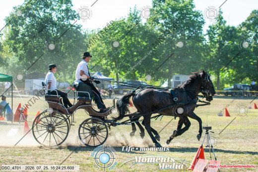 Mintakép 20260725-805