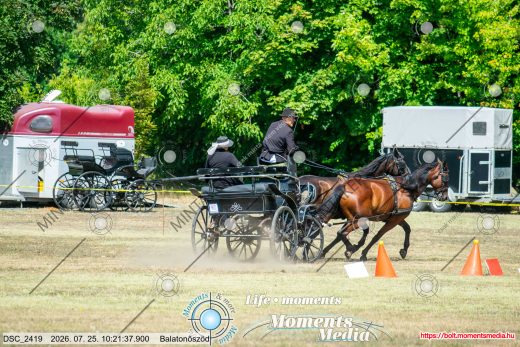 Mintakép 20260725-809