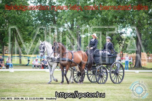 20260612-112253-DSC_8871.jpg