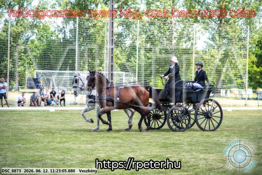20260612-112305-DSC_8873.jpg