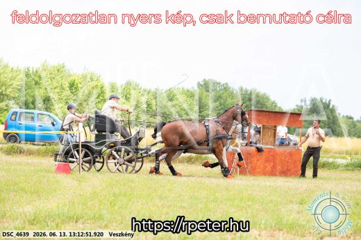 Mintakép 20260613-39