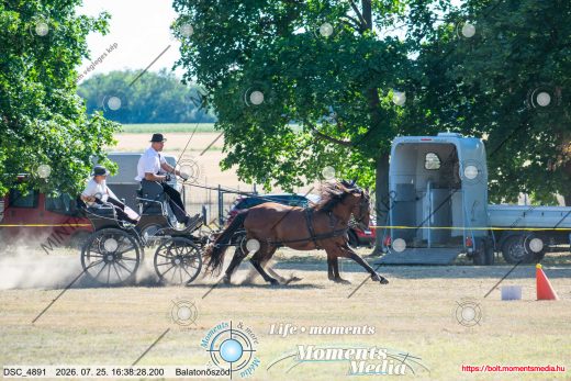Mintakép 20260725-878