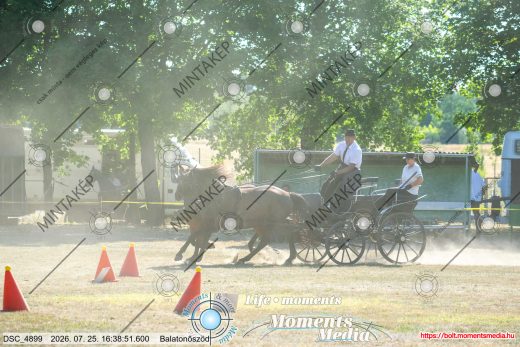Mintakép 20260725-884