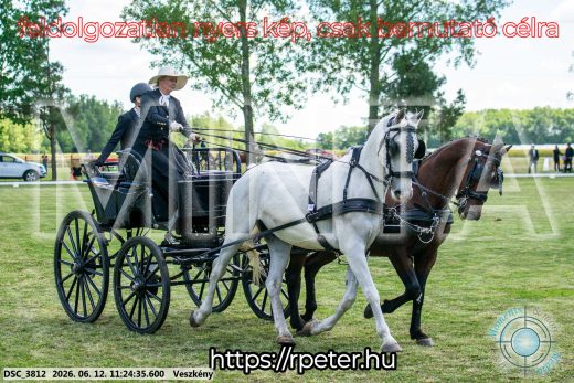 Mintakép 20260612-610