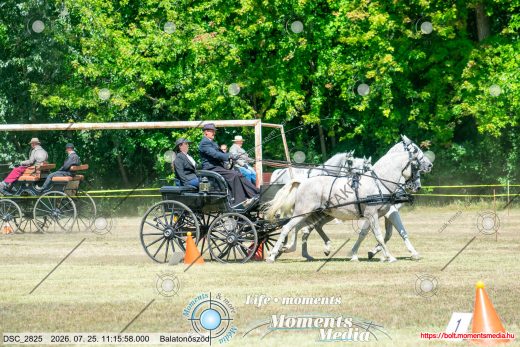 20260725-111558-DSC_2825.jpg
