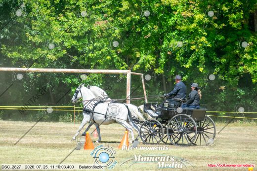20260725-111603-DSC_2827.jpg