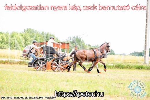Mintakép 20260613-40