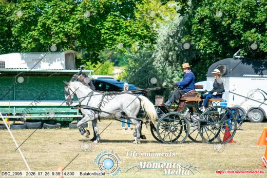 Mintakép 20260725-952
