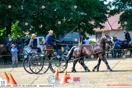 Mintakép 20260725-954
