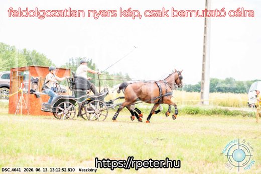Mintakép 20260613-41