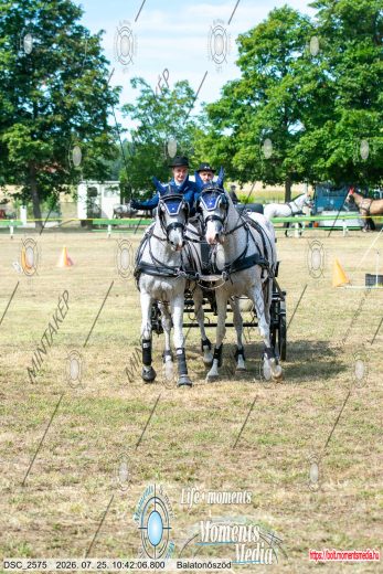 20260725-104206-DSC_2575.jpg