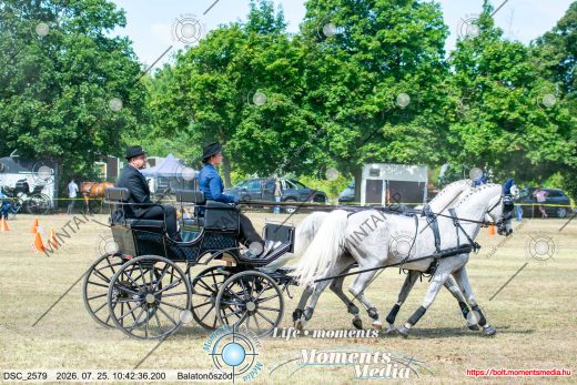 20260725-104236-DSC_2579.jpg