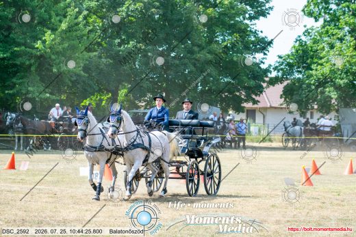 Mintakép 20260725-1060