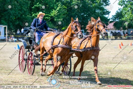 20260725-094518-DSC_2153.jpg
