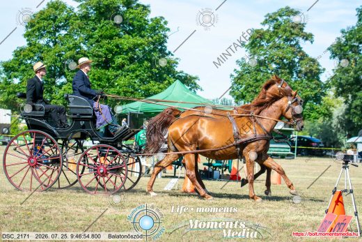 Mintakép 20260725-1107