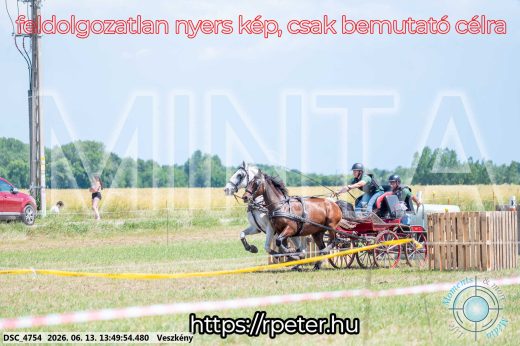 Mintakép 20260613-1218