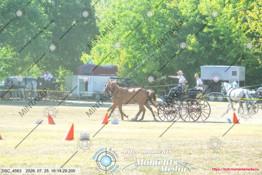 Mintakép 20260725-1121