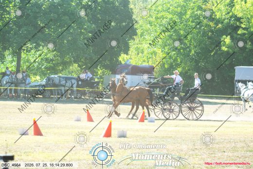 Mintakép 20260725-1122