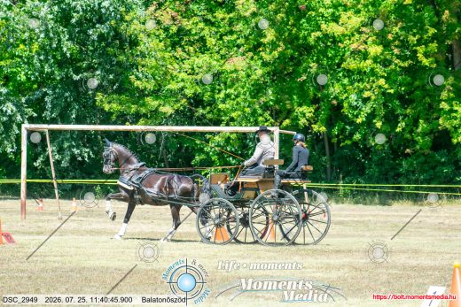 Mintakép 20260725-1135
