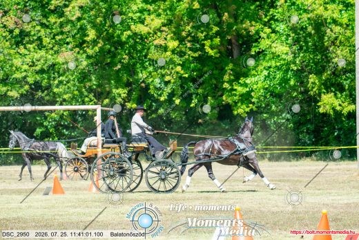 Mintakép 20260725-1136